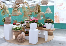 Het concept Heatlovers is een selectie van planten die het zeer goed doen in tijden hitte en droogte.